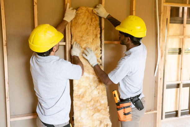 Best Commercial Insulation Services  in Osceola, IA